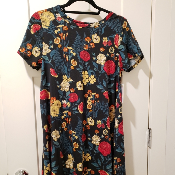 Bogo. Nwt lularoe Carly - Picture 1 of 1